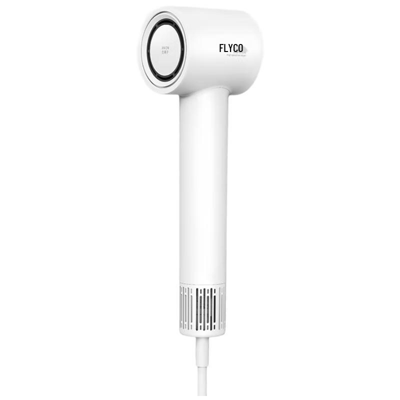 FLYCO High-Speed Negative Ion Hair Dryer CN plug (adapter included)
