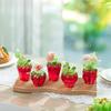 Cute and Creative Glass Strawberry Shaped Propagation Vases for Plants Decor for Home Office Unique Indoor Hydroponic Planters