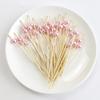 100/50 Pezzi Spiedini Usa e Getta in Bambù Bianco Perla per Matrimonio, Stuzzicadenti in Legno per Cocktail, Spiedini Forchetta per Frutta e Snack, Stoviglie per Feste di Matrimonio
