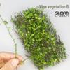 DIY Miniature Ivy Vine Model for Handmade Sand Table Scenes