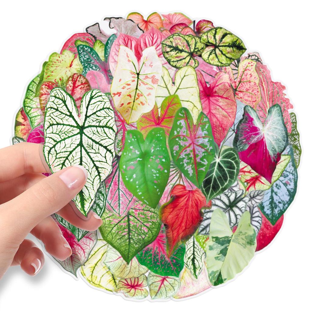 50 Sheets of Realistic Translucent Taro Leaf Stickers for DIY Crafts: Envelopes, Helmets, Phone Cases