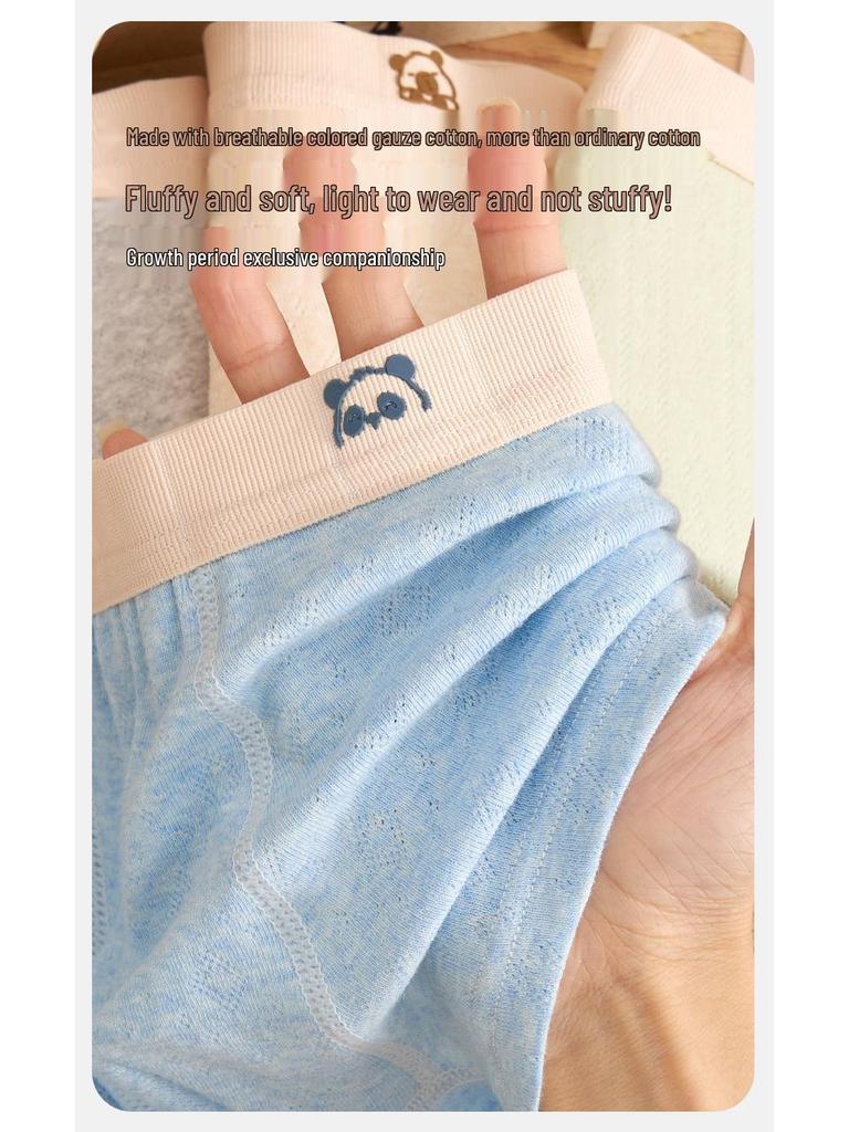 Teen Boys' Pure Cotton Class A Boxer Briefs, Big Size