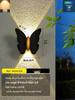 2025 Sleek LED Wall Lamp: Waterproof Bedside, Living Room, Outdoor & Entrance Decor