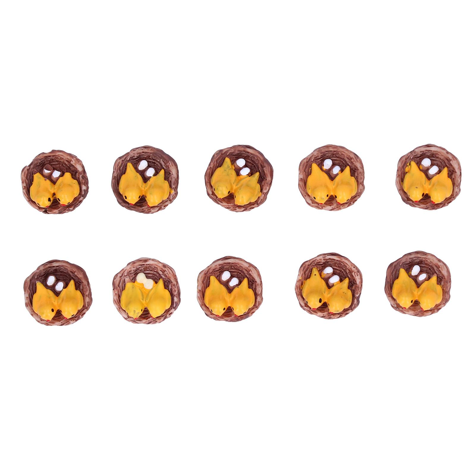 

10 шт. Украшение в виде птичьего гнезда, сделай сам, оригинальное украшение, декор для ландшафтного дизайна суккулентных растений для дома