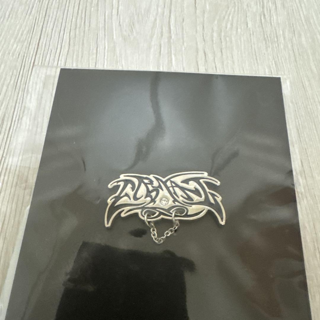 

[ИСПОЛЬЗОВАН] ТЭМИН (Вечный) значок булавки