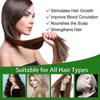 2pcs 30ml Rosemary Hair Oil Nourishment Scalp Stimulates Hair Growth Hair Care Oil