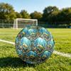 1pc Oceanic Serenity Theme Soccer Ball Football, Size 5, Lightweight PVC, Durable Outdoor Training Soccer Ball, Gift M61412