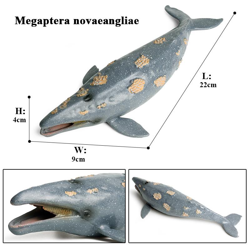 Oenux Ocean Animals Action Figures Sealife Shark Whare Megalodon Model Figurines PVC Home Decoration Kid Cognitive Education Toy