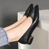 2025 Spring and Autumn New Pointed Toe Single Shoes Women Thick Heel Shallow Mouth Professional All-match Women's Shoes