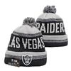 Lion Rugby Knit Hat, Dolphin Outdoor Warm Sun Hat, 49ers Hip Hop Ear Protection Hat