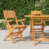 VidaXL Folding Garden Chairs 2 Pcs 55x61x90 Cm Solid Teak Wood 362760