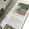 The Lost Book Of Herbal Remedies The Healing Power Of Plant Medicine Colored Inner Pages Paperback Contains Colored Images