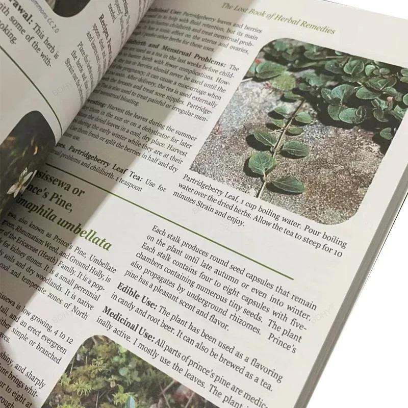 The Lost Book Of Herbal Remedies The Healing Power Of Plant Medicine Colored Inner Pages Paperback Contains Colored Images