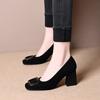 Temperament Square Head Thick Heel Single Shoes Spring and Autumn New Shallow Mouth Water Buckle High Heel Work Women's Shoes