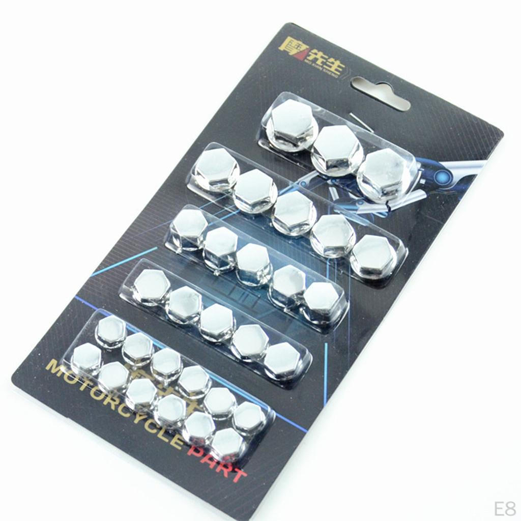30 Piece Stainless Motorcycle Screw Kit for
