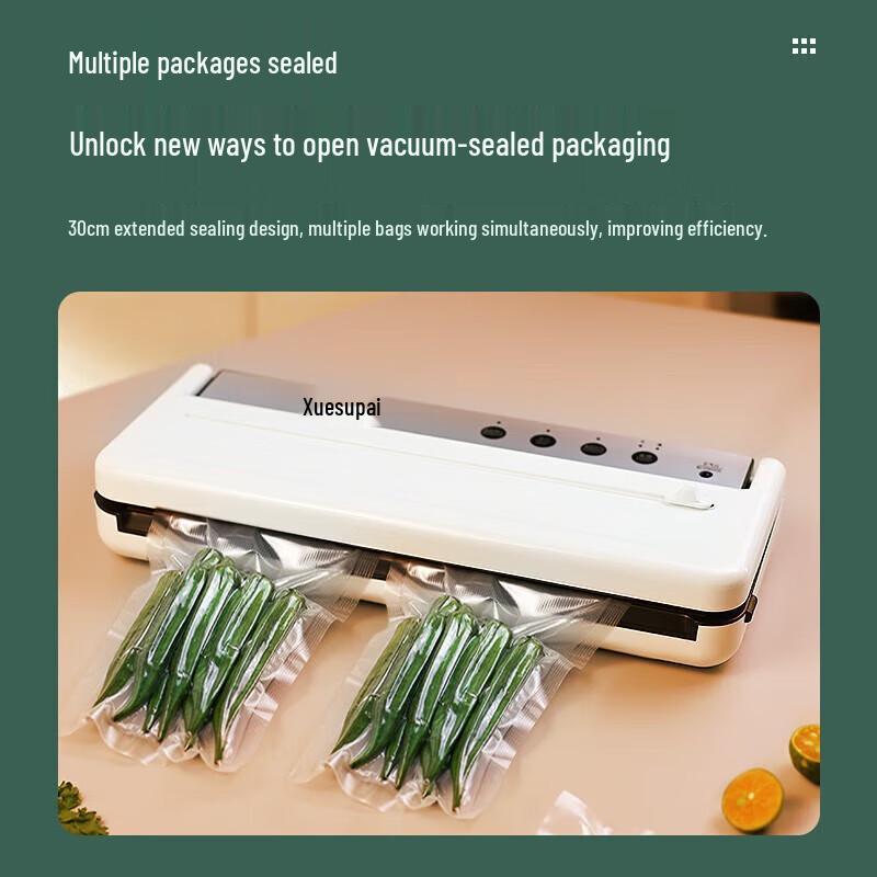 GEPAD GP-ZK300 Automatic Vacuum Sealer