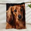 Realistische Langharige Dashond Deken 150cm x 200cm Zachte Stof Plaid Gordijn met Gedetailleerde Illustratie Woondecoratie Cadeau voor D