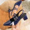 European Women's Summer 2026 New French Pointed Toe Toe Cap Thick Heel High Heels