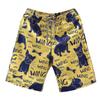 Men's Swim Trunks Quick Dry Beach Surfing Running Swimming Drawstring Shorts