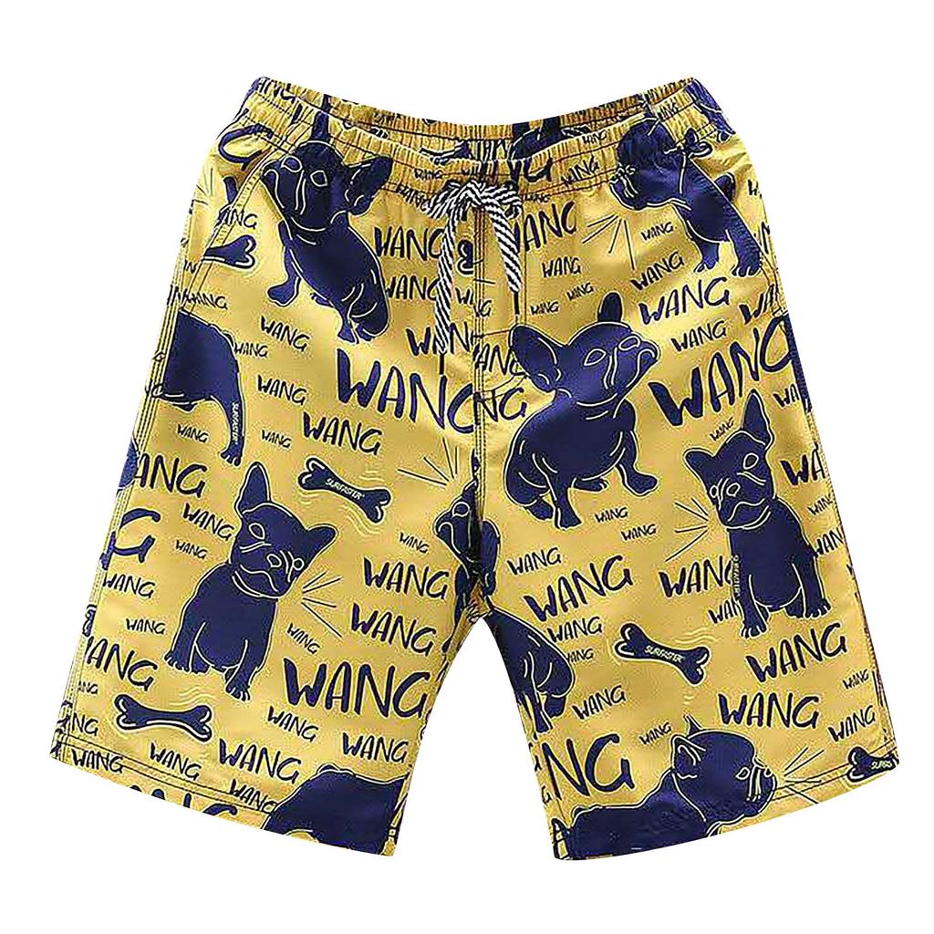 Men's Swim Trunks Quick Dry Beach Surfing Running Swimming Drawstring Shorts