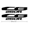 Motorcycle Sticker Motorcycle Sticker Accessory Decal Fit For Honda CB250R CB250R 2017-2020 2021 2022 (Color: Grey)