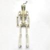 Movable Joint Halloween Skeleton Decoration: Plastic Skull Pendant & Props