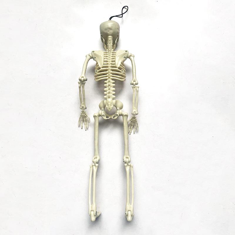 Movable Joint Halloween Skeleton Decoration: Plastic Skull Pendant & Props
