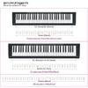 Adesivi Autoadesivi in PVC per Note di Pianoforte per 61/88 Tasti - Strisce per Tastiera di Pianoforte Rimovibili e Senza Colla