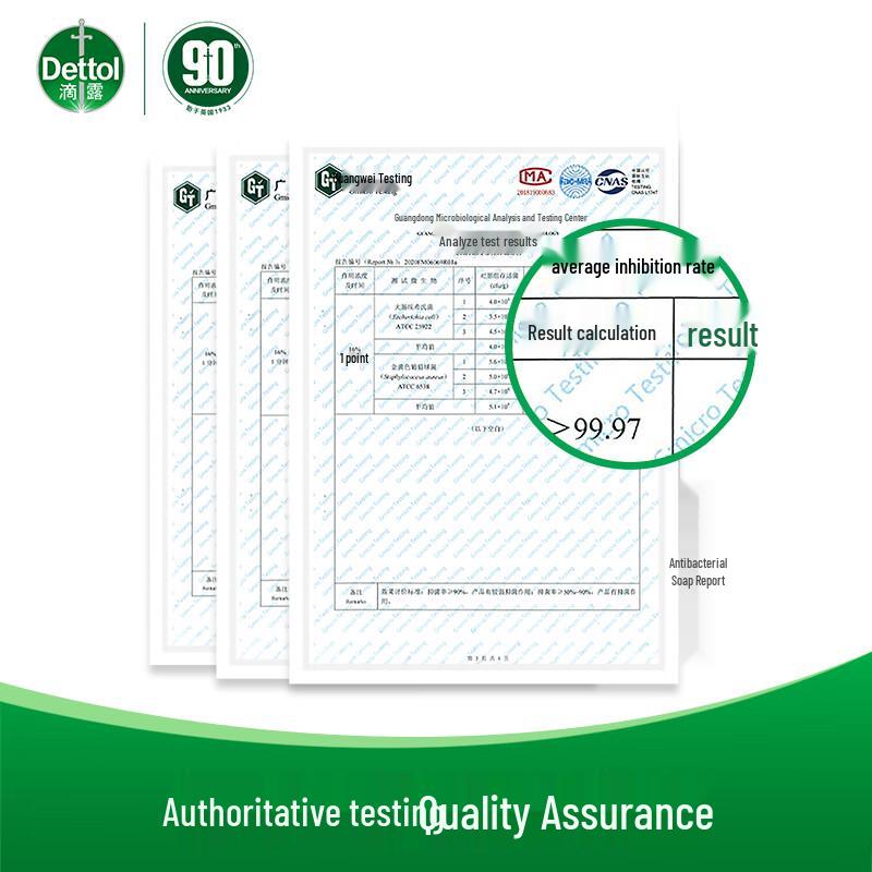 Dettol Healthy Antibacterial Soap