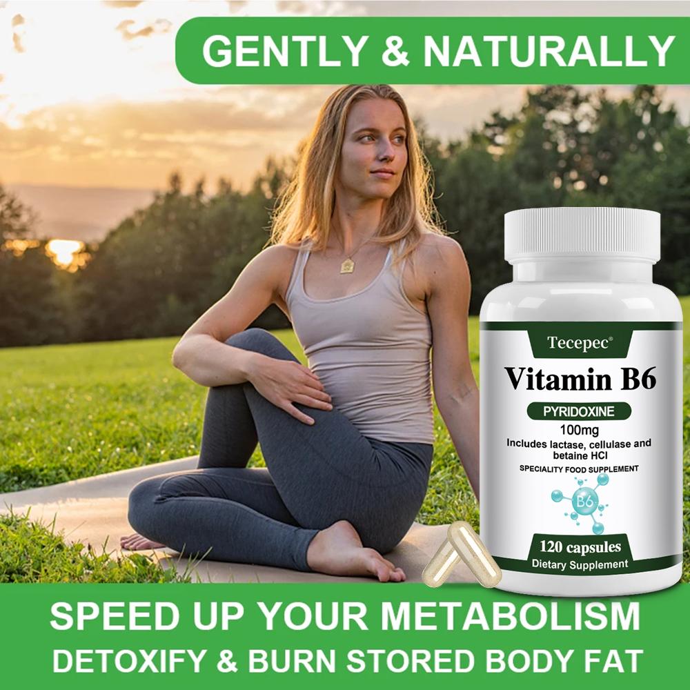 Vitamin B6 (Pyridoxine) 100 Mg Dietary Supplement, 120 Capsules Per Bottle