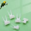 Bird Feeding Fork Food Feeder for Cage, Parrots Cage Holder Fruit Pet Accessory Fork, Vegetable Tool Forks Cockatoos Treats Snack