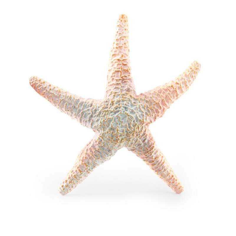 Marine Animal Model Pvc Toy For Childrens Educational Aquarium Decor