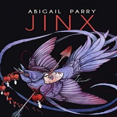 Jinx by Abigail Parry Paperback Book 9781780372341