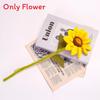 Plush Flower Bouquet Gift Set With Soft Short Plush For Home Decor And Relaxation