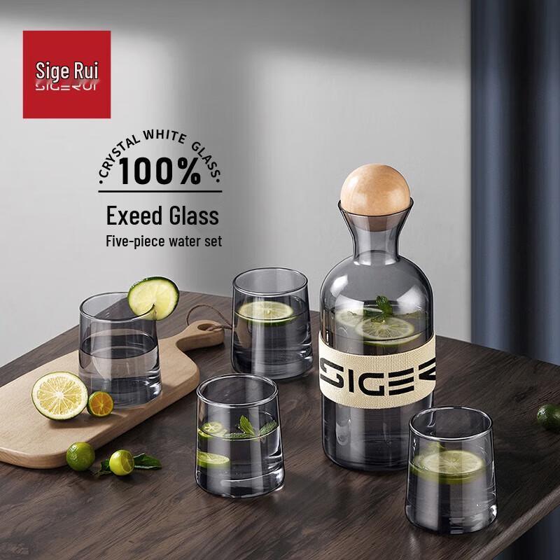 Skegary Starlight 5-Piece Heat-Resistant Glass Drinkware Set