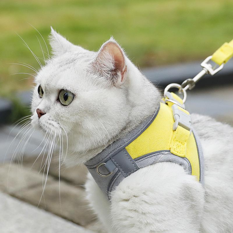 

Reflective Breathable Pet Harness & Leash for Small Dogs and Cats XXL (13-18 lbs)