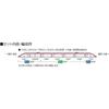 Tomytec Jr E6  Akita Shinkansen Komachi Basic Set 98500