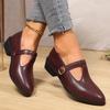 Fashion 2025 Spring T-Strap Thick Heels Pumps Women Vintage Pointed Toe Med Heel Mary Jane Shoes Woman Plus Size Pu Leather Shoes Mujer