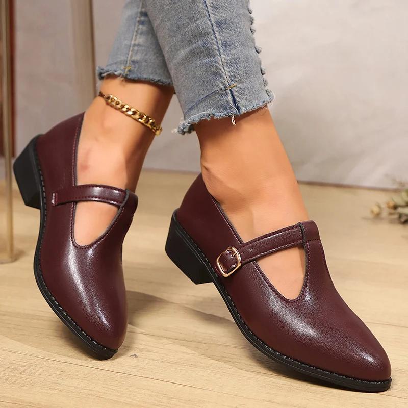 Fashion 2025 Spring T-Strap Thick Heels Pumps Women Vintage Pointed Toe Med Heel Mary Jane Shoes Woman Plus Size Pu Leather Shoes Mujer