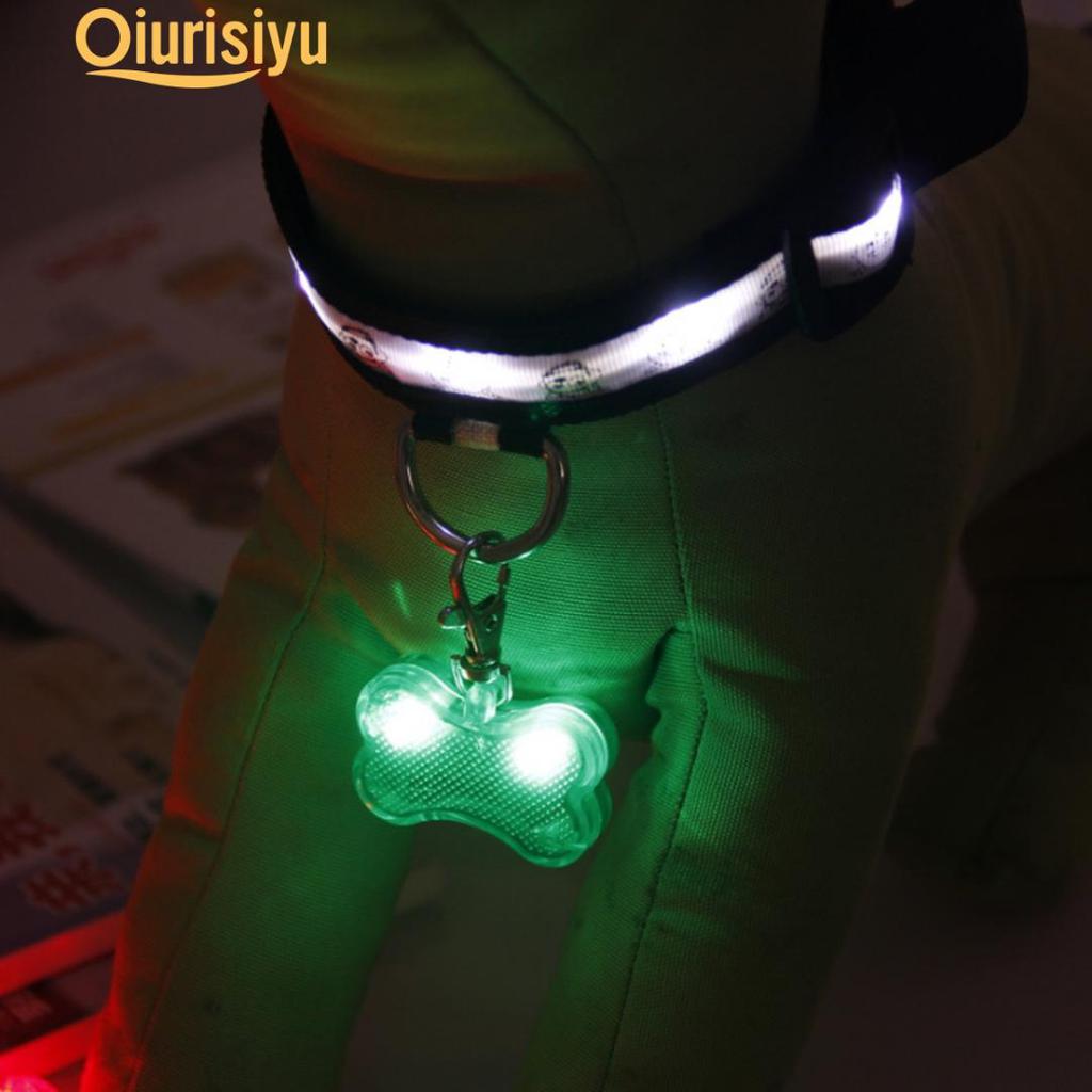light up dog tag