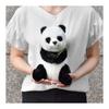 BH7475 HANSA Wielka Panda 26