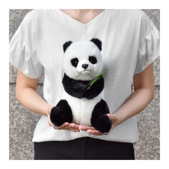 BH7475 HANSA Wielka Panda 26