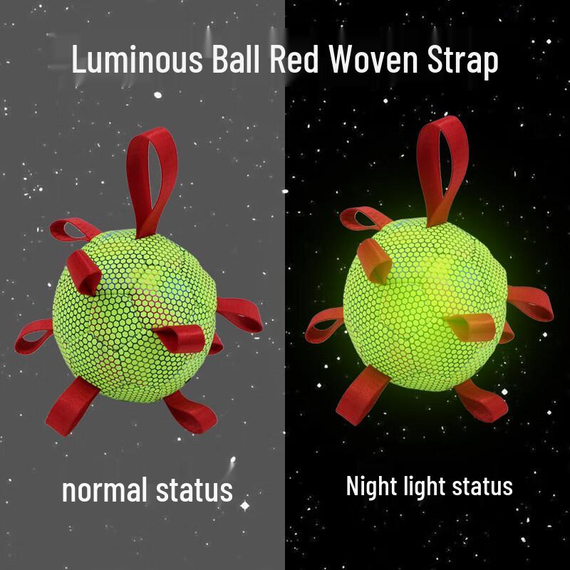 Longchan Glow-in-the-Dark Indestructible Dog Soccer Ball Toy
