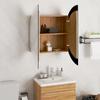 Vidaxl Bathroom Cabinet with Mirror and LED, Oak, 54X54X17.5 Cm