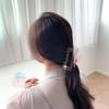 Women's Transparent Gradient 4-color Hair Clip