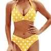 Huludao Split Swimwear New Bikini European and American Swimwear Women's Swimwear Manufacturer