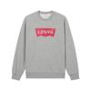 Sweatshirts Men's Gray Crew Neck Moderate 003YS-0000