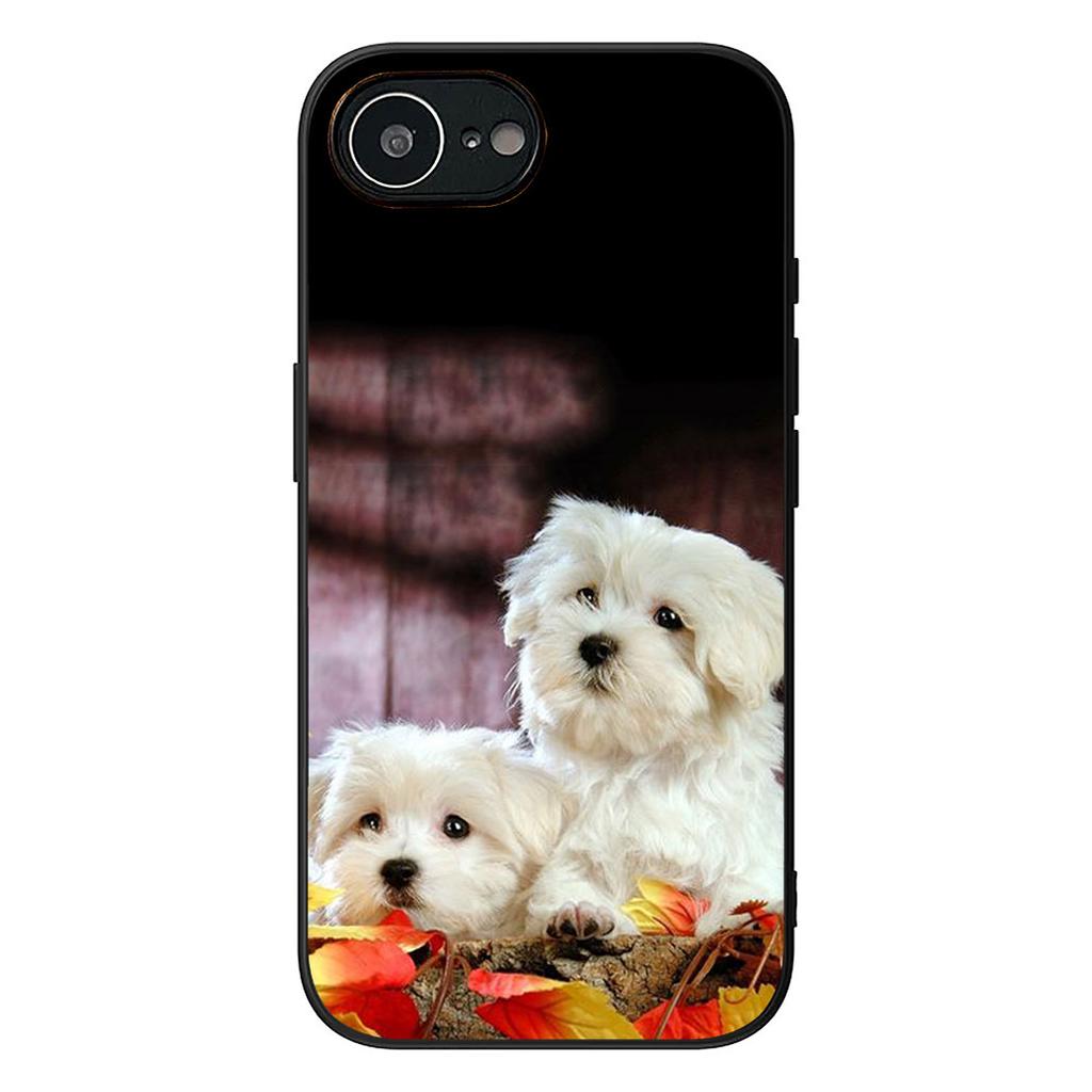 Pomeranian Dog Pet Animal Phone Cover for Samsung Galaxy Note 20 9 10 S8 S10 Lite S9 Plus A54 A53 A21S S10E A17 Coque Case