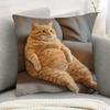 1pc Cozy Orange Tabby Cat Pillow Cover - 44.96cm X 44.96cm Soft Polyester Short Pile Fabric, Single-Sided Print, Machine Washable, Ideal for Living Ro