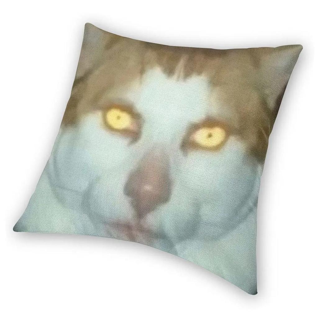 Monday Left Me Broken Cat Pillowcase Double-sided Printing Polyester Cushion Cover Decor Pillow Case Cover Seat Zippered 40X40cm
